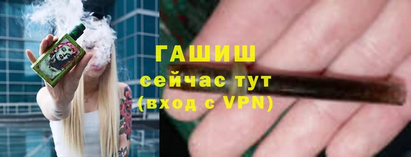 крисы Богородицк