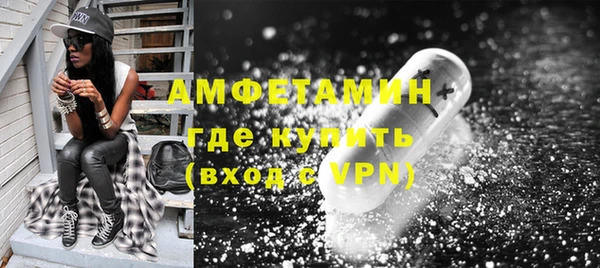 крисы Богородицк