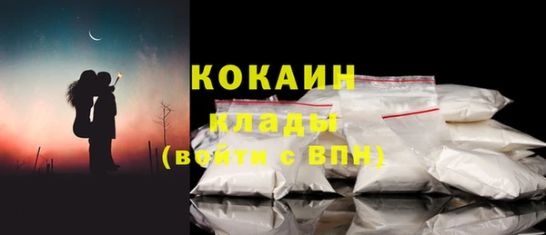 крисы Богородицк