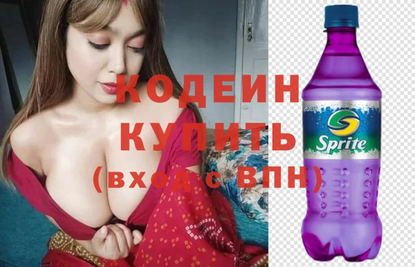 крисы Богородицк