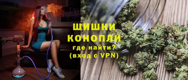 крисы Богородицк