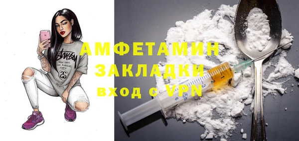 крисы Богородицк