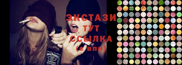 крисы Богородицк