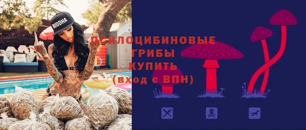 крисы Богородицк